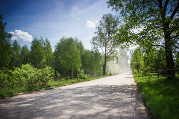 Fototapeta na wymiar Rural sand road in the forest.