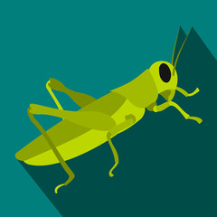 Grasshoppers icon in flat style