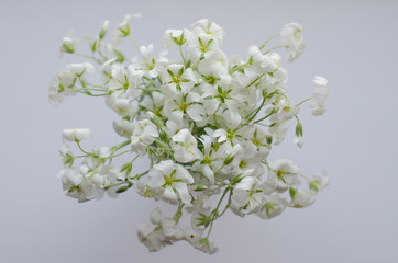 spring white bouquet