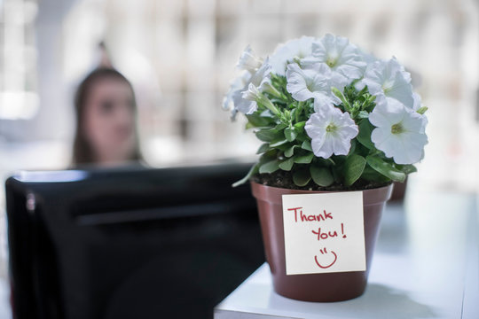 Potted plant with thank you note on office table