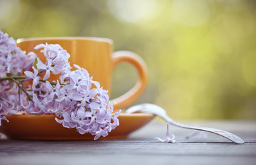 Orange cup with a spoon and a lilac branch