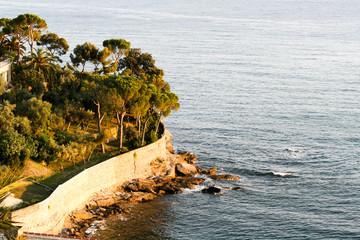 Obraz premium Garden with trees separated by a wall from the sea at sunset.