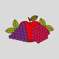 fresh fruit design 