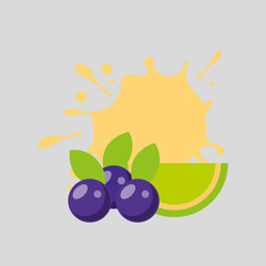 fresh fruit design 