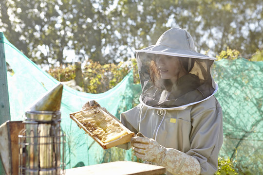 Female beekeeper looking at honeycomb tray on city allotment