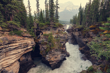 Canyon in Banff NP