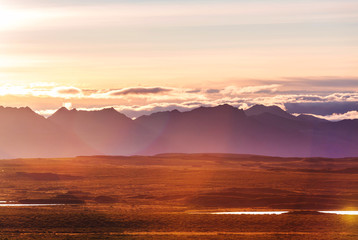 Denali highway
