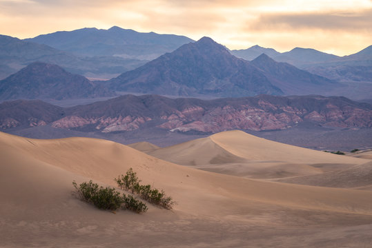 Sunrise at the Mesquite Sand Dunes in death Valley can be very colorful and vibrant. 