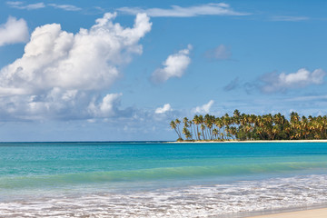 Fototapeta premium Caribbean beach with palms