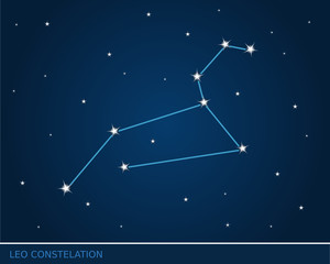 Obraz na płótnie Canvas leo constelation