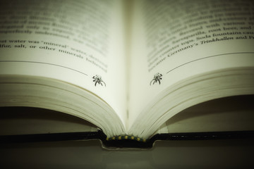 Open book.
