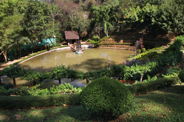 Fototapeta na wymiar Park Prenn near Dalat. Vietnam