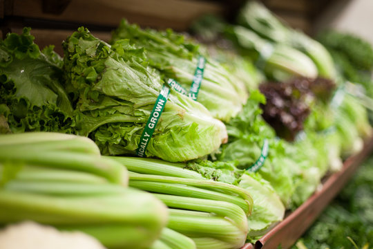 Row of green vegetables in health food shop
