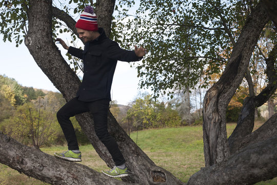 Mid adult man climbing tree, Rangeley, Maine, USA