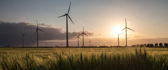 Fotobehang wind turbine farm sundown © Tobias Arhelger