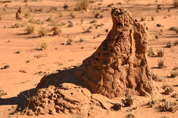 Oddly shaped termite mound in red earth