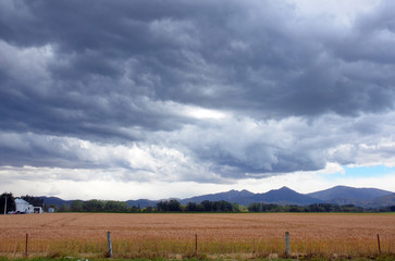 Obraz premium Storm clouds brewing over farm crops
