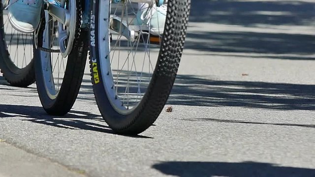 Bicyclists riding asphalt park shadows