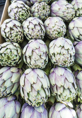 Obraz premium Perfect pattern of artichoke heads in a market in Paris France.