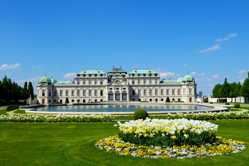 Obraz premium Wien Schloss Belvedere (Oberes Belvedere) im Frühling mit Tulpen