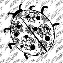 Adult coloring page. Vector doodle ladybug in black and white. Soft whimsical pattern.