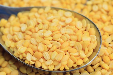 soybean seeds