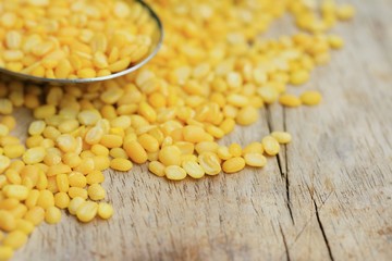 soybean seeds