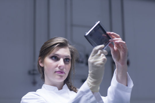 Young female scientist examining microscopy slide in lab