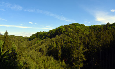 Green landscape near Kokorin castle