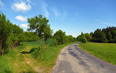 Fototapeta na wymiar Green landscape near Kokorin castle