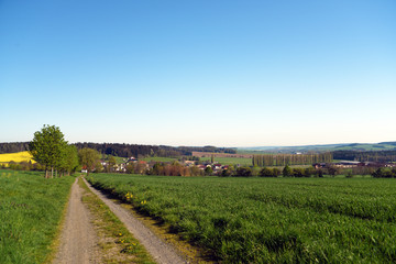 Fototapeta na wymiar Green landscape in south of Bohemia