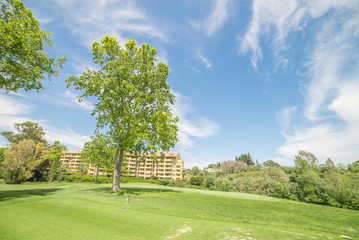 Fototapeta na wymiar Beautiful tree in golf course with blue sky