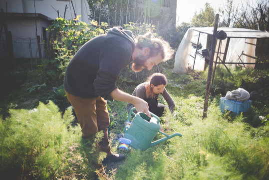 Young couple gardening