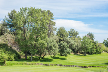 Golf course trees landscape