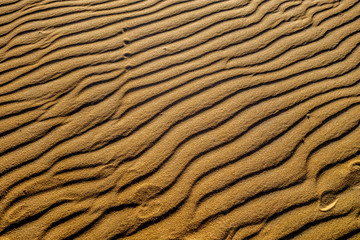 Real sand ripples texture background.
Photo taken in a island in Brazil