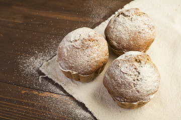 Sweet, lush cupcakes, dusted with powdered sugar