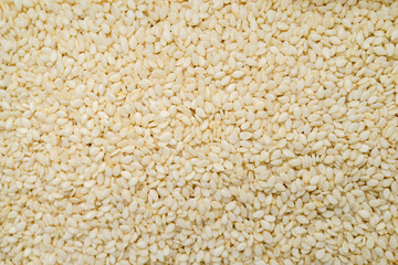 white sesame seeds