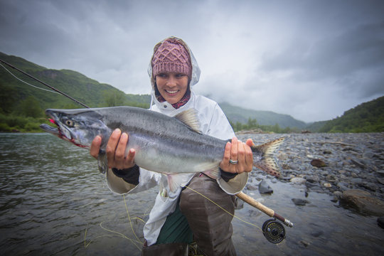Fisherwoman holding up caught pink salmon in river, Kodiak, Alaska, USA