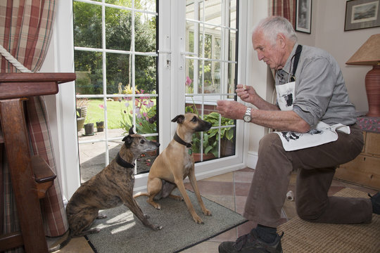Senior man teaching pet dogs to sit and wait for treats