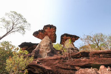 Stone pole in the forest