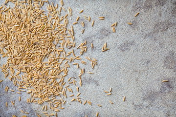 Paddy Grain