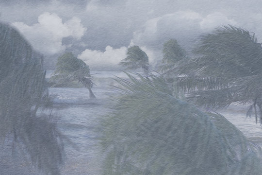 Palm trees blowing in extreme weather conditions