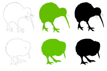 Kiwi Bird Adult & Baby Vector Illustration