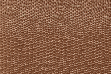 abstract brown textured leather background