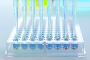 Multi pipette adding samples to multi well tray in a laboratory