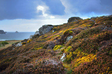 View of Pointe de Toulinguet national park in Brittany, France
