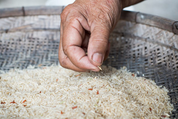 Choose Paddy Grain out Brown Rice