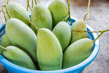 Mango in blue basket