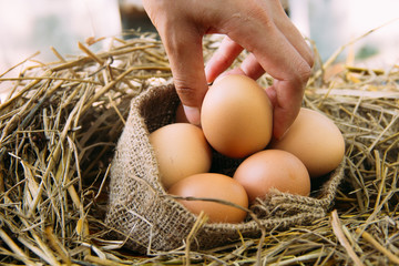 Picking and egg