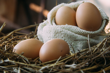 Fresh brown eggs